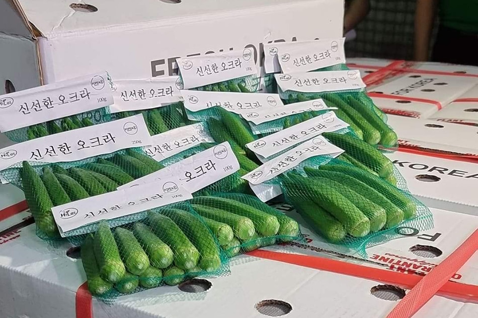 Philippines now exports okra to South Korea 1