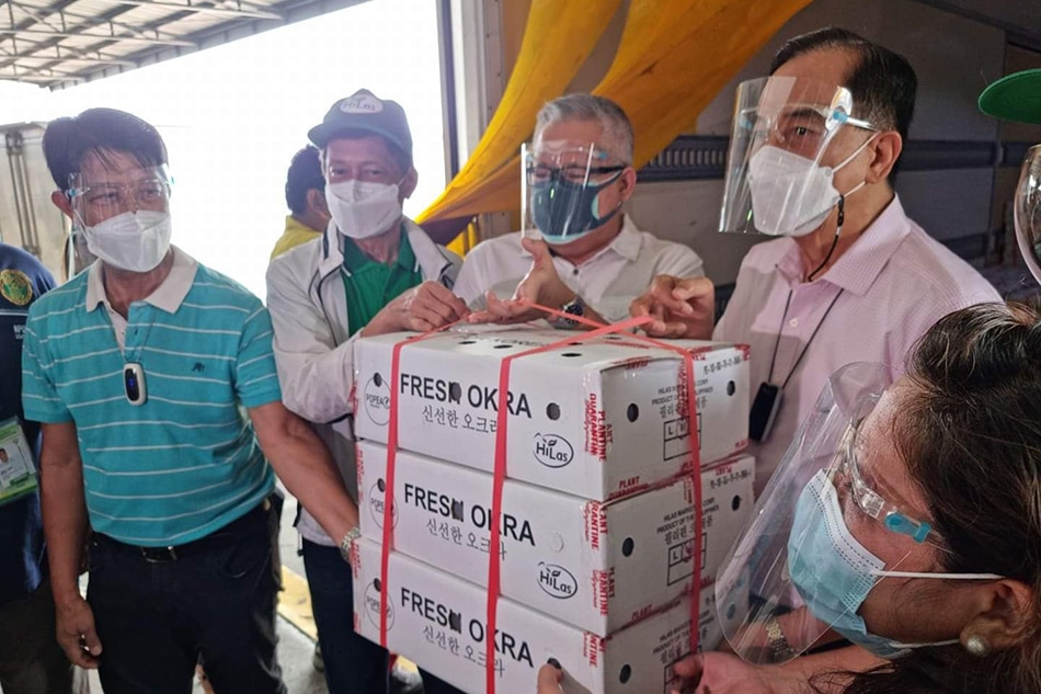 Philippines now exports okra to South Korea 2
