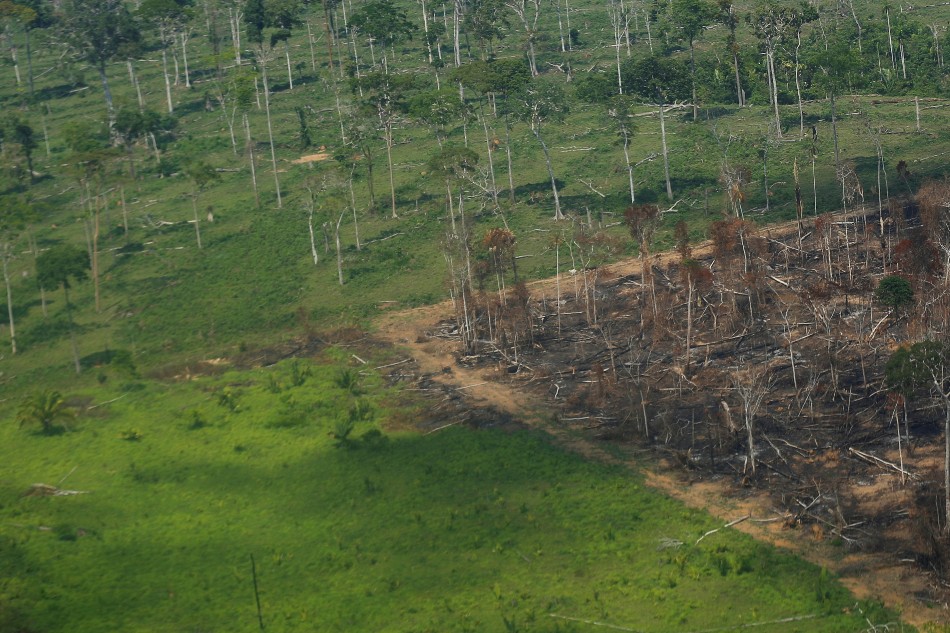 An aerial view shows a deforested plot of the Amazon rainforest in Rondonia State, Brazil September 28, 2021. Picture taken September 28, 2021. REUTERS/Adriano Machado/File Photo