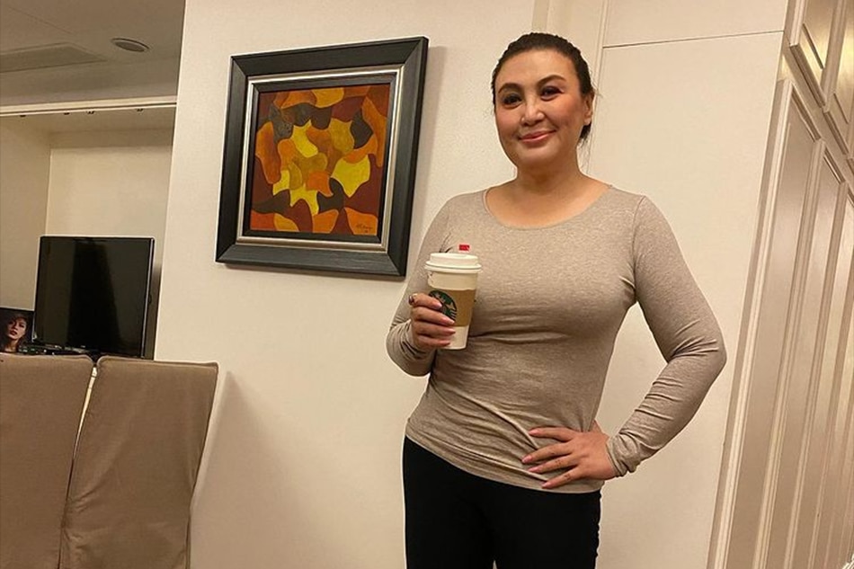 'No editing': Sharon Cuneta shows off fit figure | ABS-CBN ...