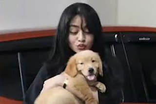 WATCH: Meet Percy, Vivoree Esclito's new companion