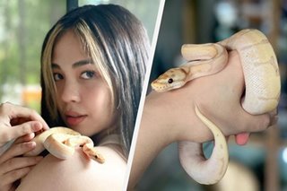 LOOK: Janella introduces new pet snake Valentino