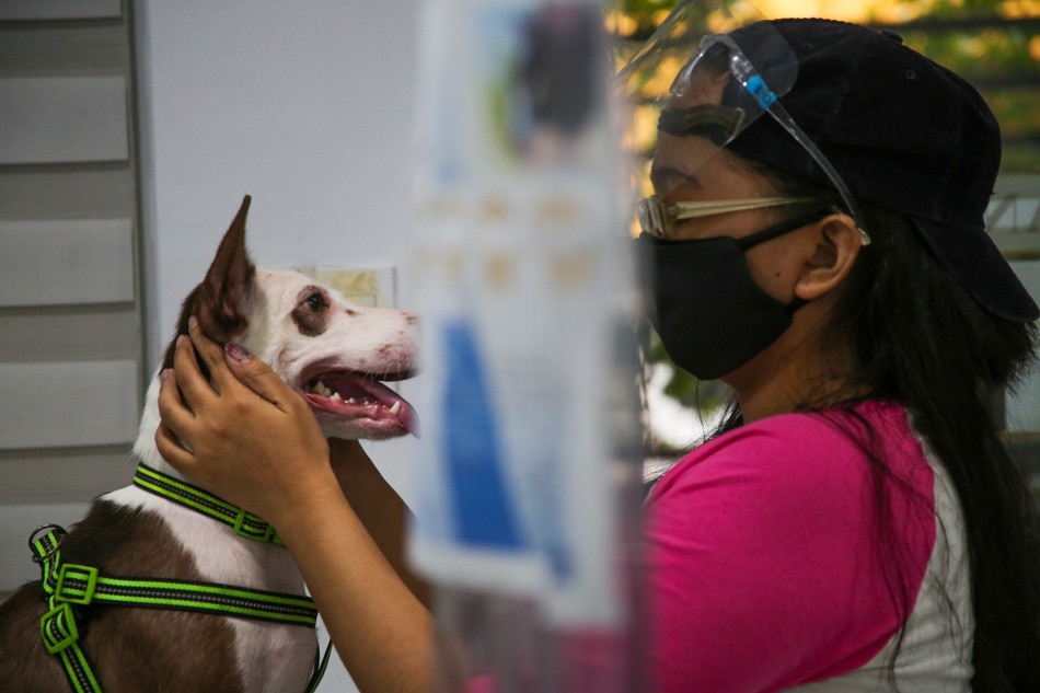 LOOK: At pet clinic, shortage of veterinarians but not of animal care 12