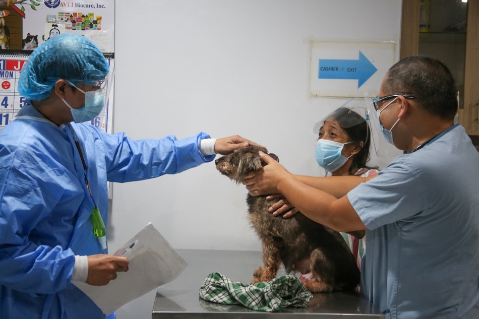 LOOK: At pet clinic, shortage of veterinarians but not of animal care 13