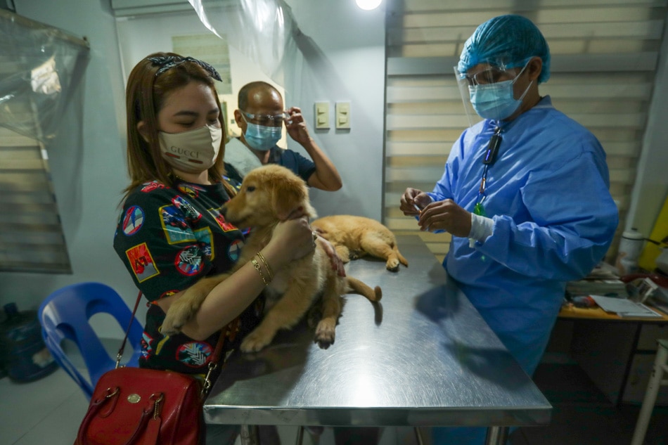 LOOK: At pet clinic, shortage of veterinarians but not of animal care 2