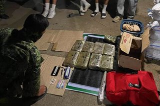 Halos P1 milyong halaga ng marijuana nasabat sa Mountain Province; 4 tiklo