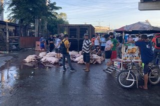 Mga baboy na namatay sa aksidente di dapat kainin: NMIS