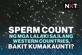 Sperm count ng mga lalaki sa ilang Western countries, bakit kumakaunti?