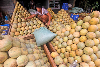 Mountain of melons