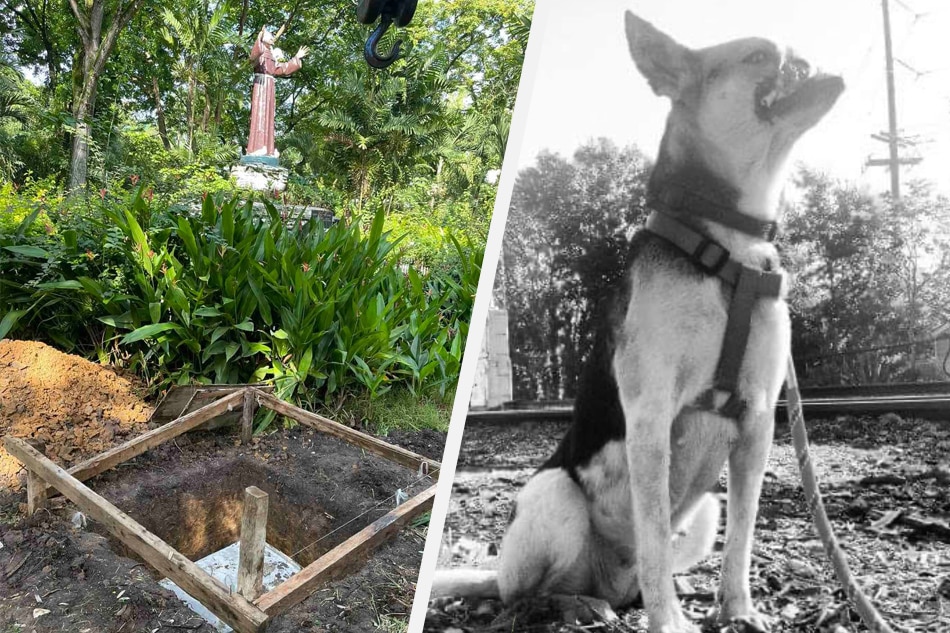 Zamboanga&#39;s hero dog &#39;Kabang&#39; laid to rest 1