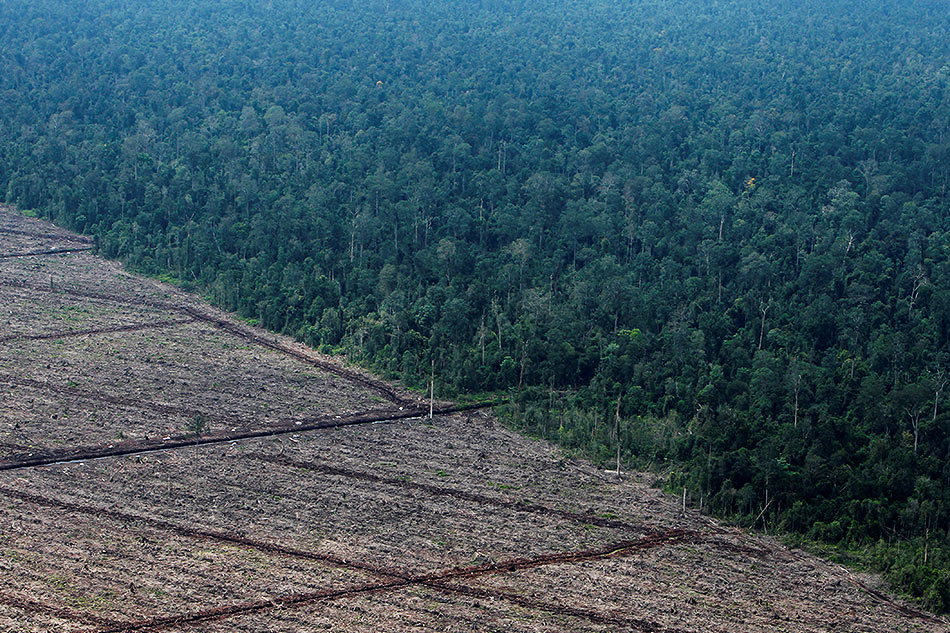 A view of deforestation on Indonesia via Beawiharta, Reuters/File 