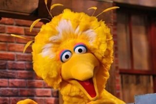 Sesame Street's Big Bird says he got COVID-19 vaccine