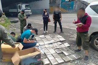 PDEA seizes P11-M worth of marijuana in Benguet