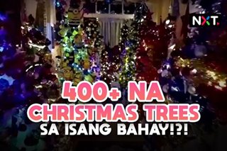 World record para sa pinakamaraming Christmas tree 