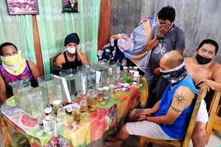 5 lalaki huli sa 'fish fighting' sa Davao City