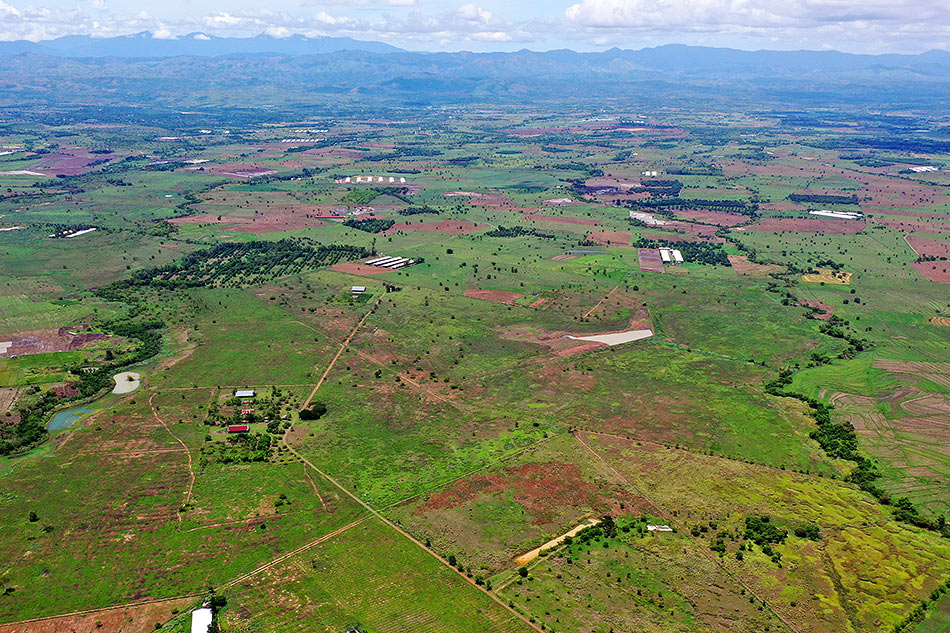Solar Ranch or Southeast Asia’s largest solar project will soon rise on a former ranchland developed by Solar Philippines Nueva Ecija Corporation. Handout