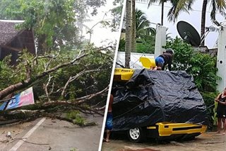 Typhoon winds topple trees in Surigao del Norte 