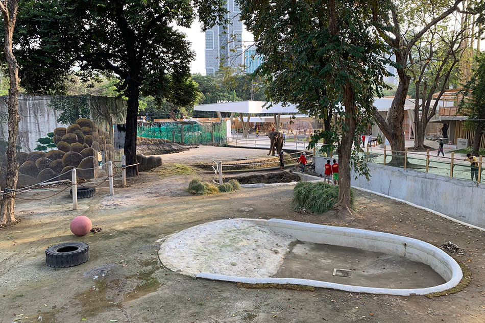 Newly renovated Manila Zoo set to reopen in early 2022 1