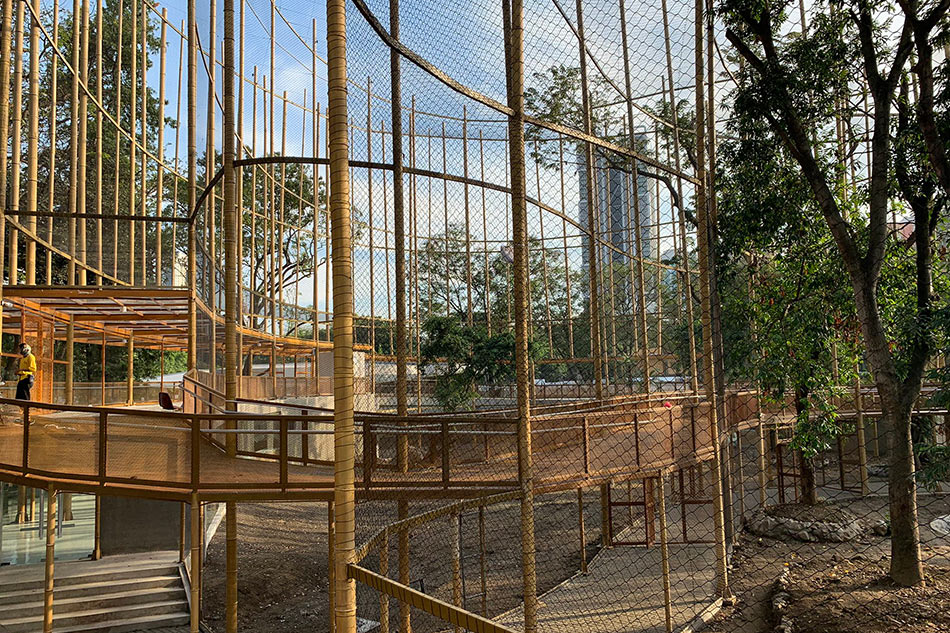 Newly renovated Manila Zoo set to reopen in early 2022 4