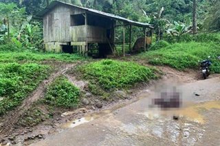 3 soldiers, resident shot dead in Lanao del Norte