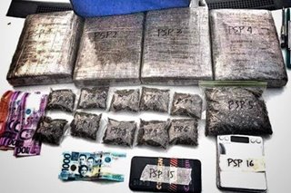Higit P500,000 halaga ng hinihinalang marijuana, nasamsam sa Pampanga