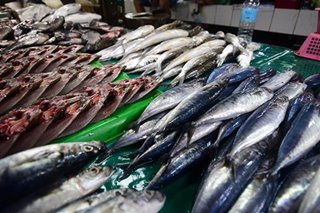 Isda, magandang alternatibo sa karne sa kabila ng pagsipa ng presyo ng bilihin - grupo