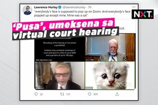 'Pusa', umeksena sa virtual court hearing