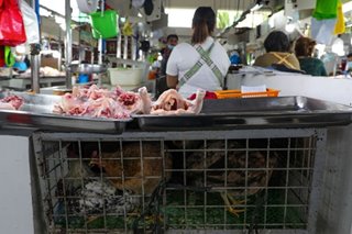 Mga poultry farmer muling umapelang alisin ang price cap sa manok