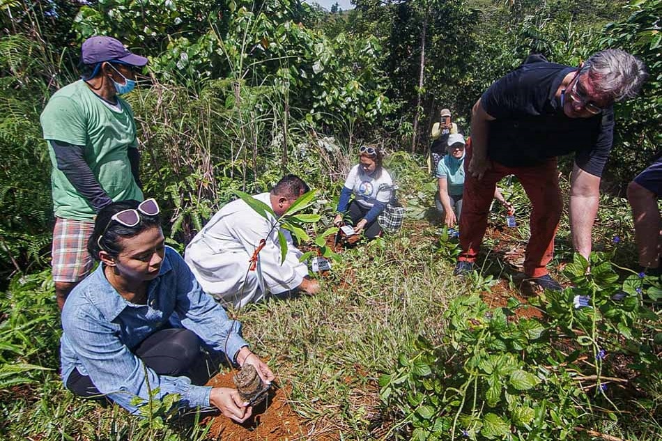 '500 Trees For 500 Years Of Christianity' – Filipino News