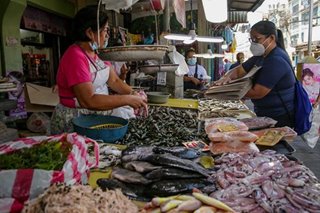 Presyo ng ilang gulay, isda nagmahal sa pag-arangkada ng ECQ sa NCR Plus