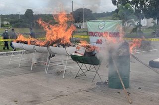 P45 milyong halaga ng marijuana, shabu sinunog sa Davao del Sur