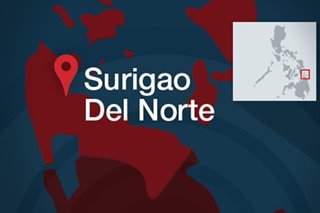 Cargo ship runs aground off Surigao del Norte, as Bising felt in area