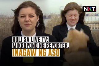 Huli sa live TV: Mikropono ng reporter, inagaw ng aso