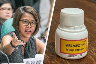 'Kung hayop ka, di uminom ka': Binay jokes about ivermectin use
