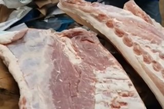 6 toneladang karneng baboy ipinuslit mula sa Germany