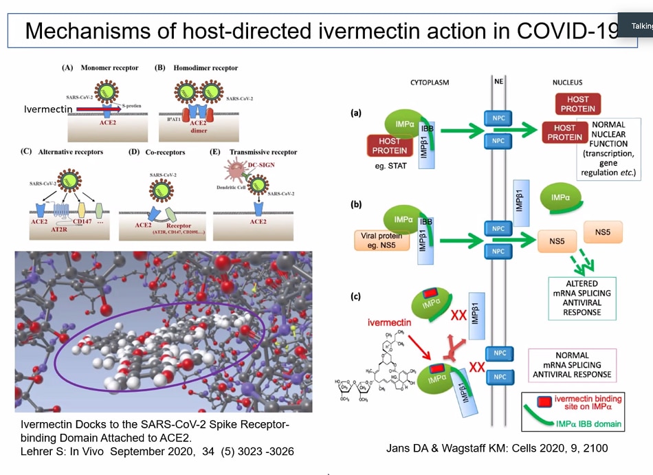 WHO, state regulators asked to consider positive results of ivermectin trials on COVID-19 3
