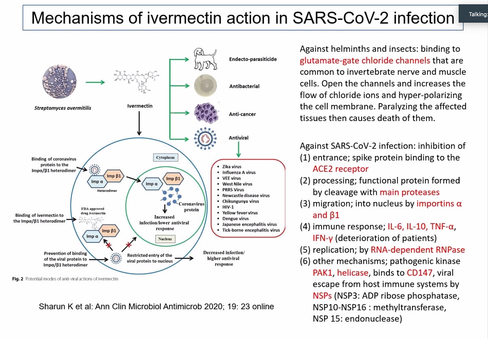 WHO, state regulators asked to consider positive results of ivermectin trials on COVID-19 2