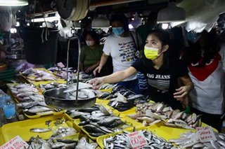 DILG warns 20 LGUs over 'illegal, unreported, unregulated' fishing