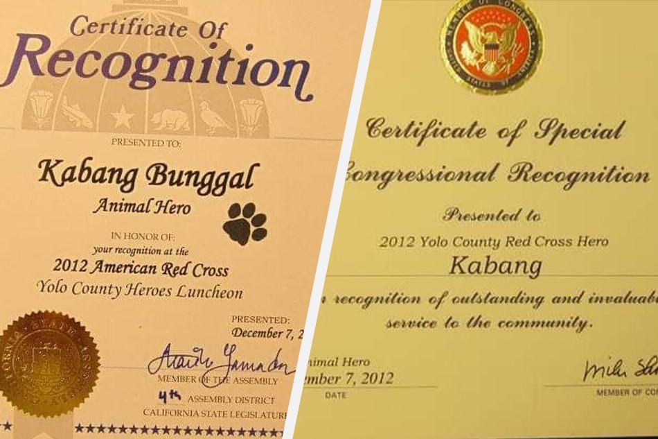 Team Kabang ipagpapatuloy ang legacy ng namatay na hero dog 2