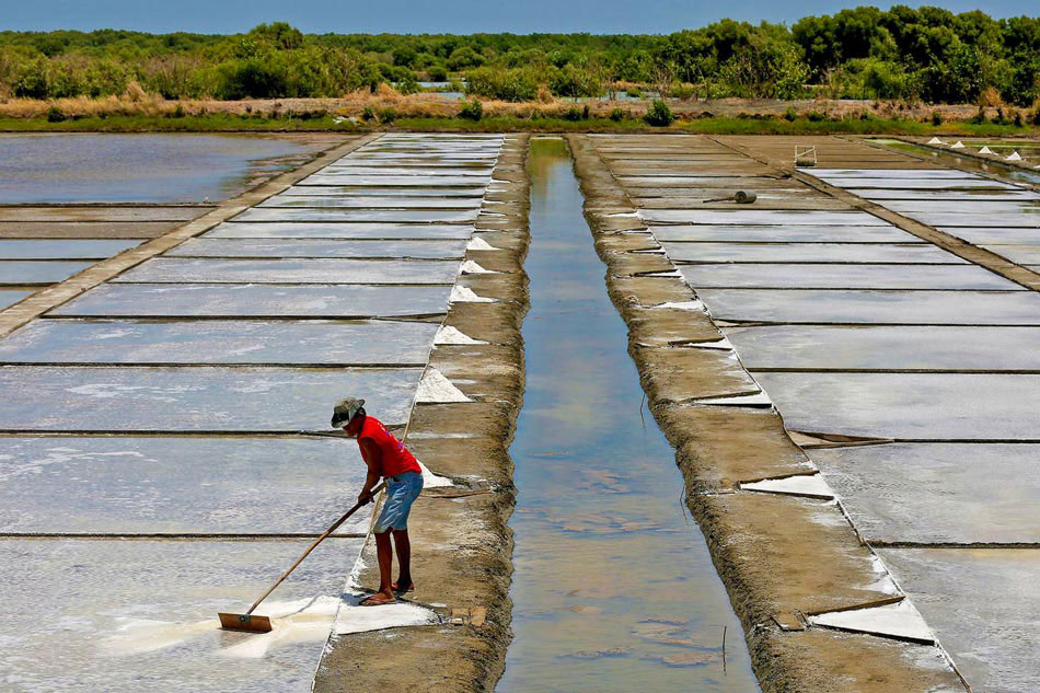 A worker harvests salt from a saltern in Barangay Sta. Isabel in Kawit, Cavite amid the summer heat on May 22, 2021. Traditionally, during the wet season the salterns are used as fish pens but climate change has compromised salt production due to unpredictable weather caused by global warming. ABS-CBN News