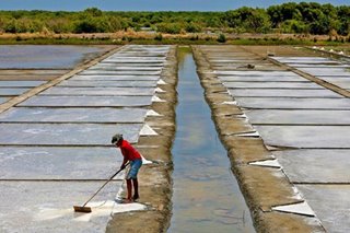 Lack of capital bedevils Philippines' salt farmers