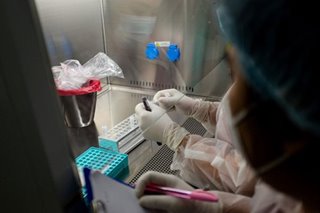 15 to 20 coronavirus testing labs fail to submit reports on time: official