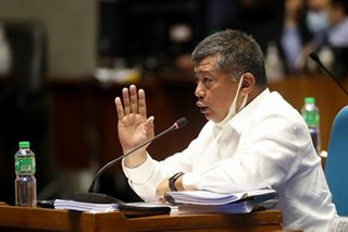 Sans proof, Cavite solon accuses minor in Cebu lumad school raid of being 'radicalized'