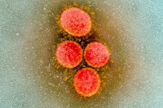 WHO switches to Greek alphabet for virus variant names