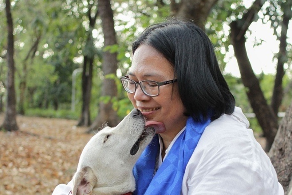 UP trains stray dogs for search and rescue – Filipino News