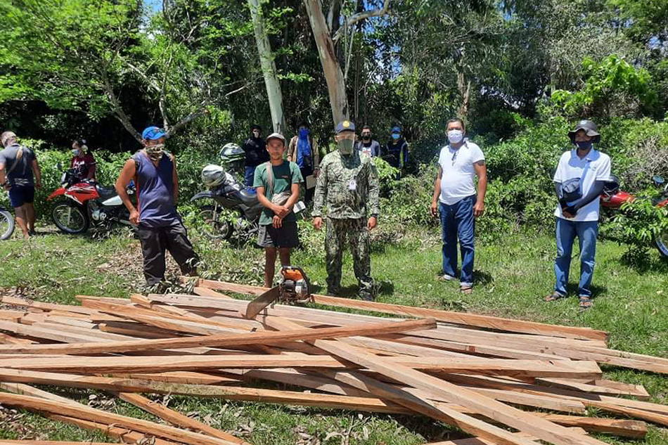 illegal-loggers-late-in-zambales-filipino-news