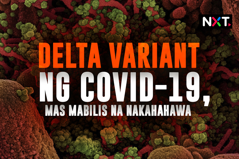 Twitter Sakit Mas Asli 2021 Delta variant ng COVID-19, mas mabilis na nakahahawa | ABS-CBN News