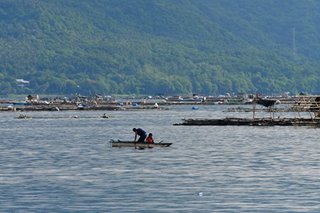 Fish kill sa Taal Lake walang kinalaman sa sulfur dioxide ng bulkan: BFAR