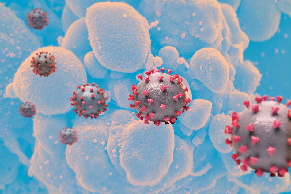 Japan to launch infectious diseases databank to fight COVID-19 1
