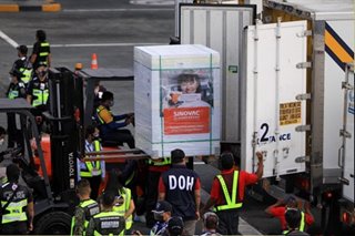 More Sinovac vaccines arrive in Philippines